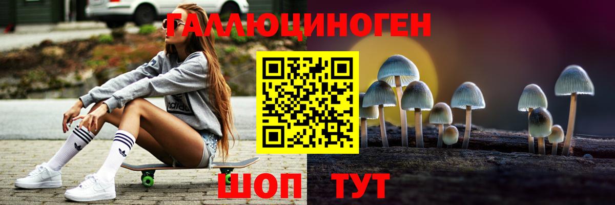 Бийск  Галлюциногенные грибы мицелий  Вход с VPN 